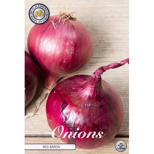 Röd lök, Red baron, 250 gram