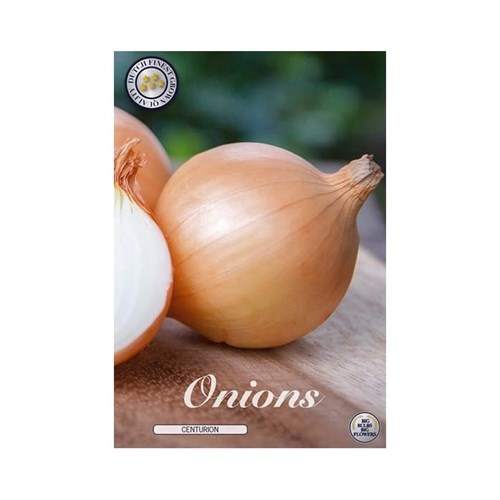 Gul lök, Centurion, 250 gram