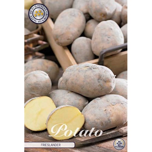 Sättpotatis, Frieslander, 10 st