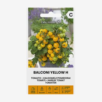 Tomat, Balconi Yellow
