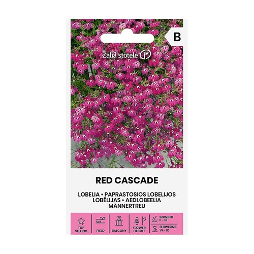 Lobelia, Häng, Red Cascade