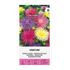 Aster, Unicum Mix