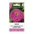 Zinnia, Dream