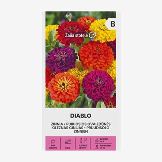 Zinnia, Diablo Mix