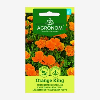 Sömntuta, Orange King