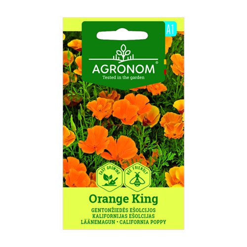 Sömntuta, Orange King