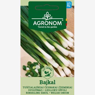 Lök, Salladslök, Bajkal