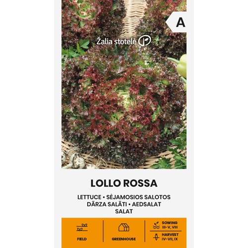 Sallat, Lollo Rossa