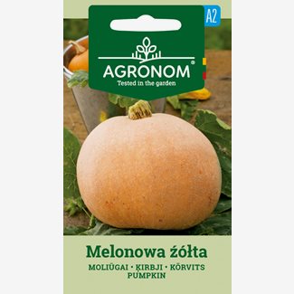 Pumpa, Melionowa Zolta