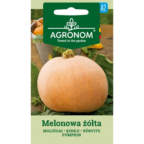 Pumpa, Melionowa Zolta
