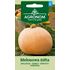 Pumpa, Melionowa Zolta