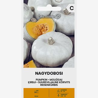 Pumpa, Nagydobodi