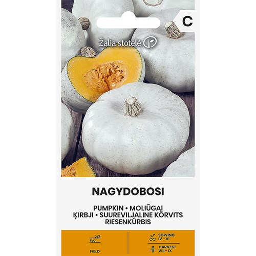 Pumpa, Nagydobodi