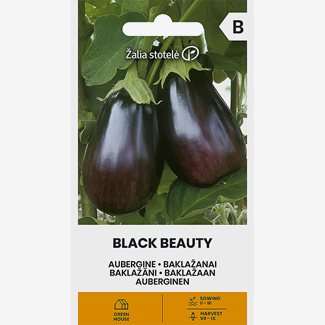 Äggplanta, Black Beauty