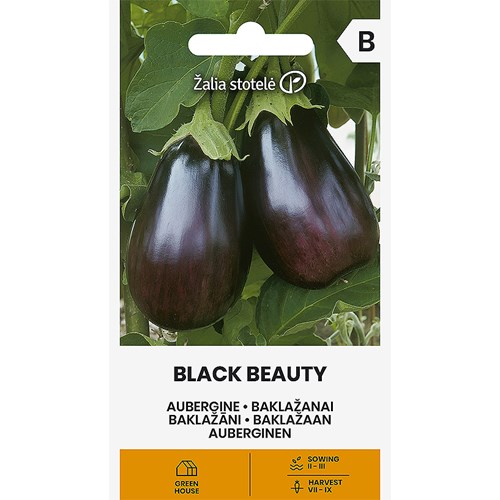 Äggplanta, Black Beauty