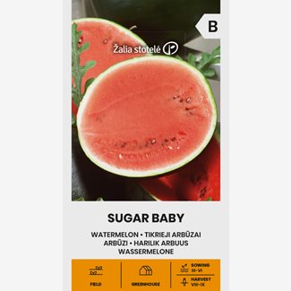Melon, Vattenmelon, Sugar Baby