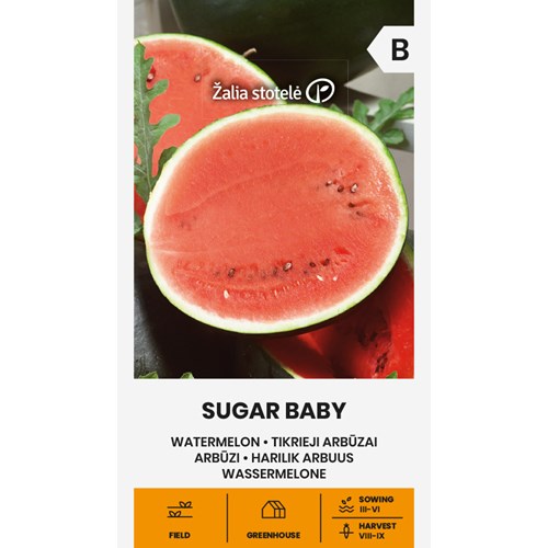 Melon, Vattenmelon, Sugar Baby