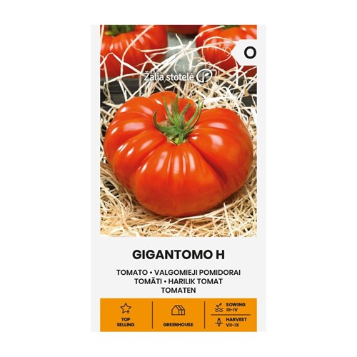 Tomat, Gigantomo F1