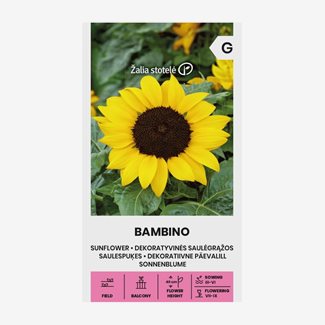 Solros, Bambino