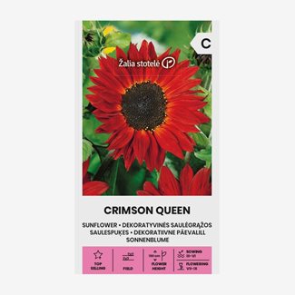 Solros, Crimson Queen