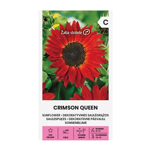 Solros, Crimson Queen