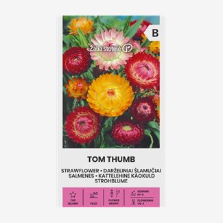 Eternell, Tom Thumb