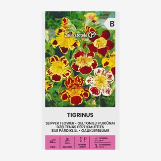 Gyckelblomma, Yellow mix