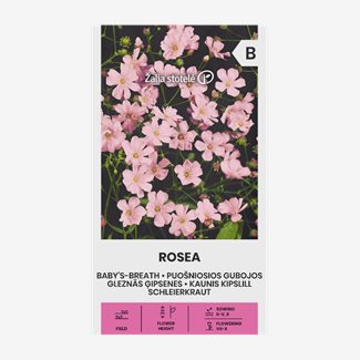 Hängslöja, Rosea