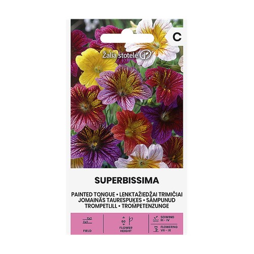 Trumpetblomma, Superbissima