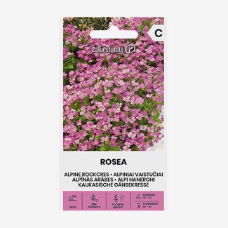 Fjälltrav, Rosea