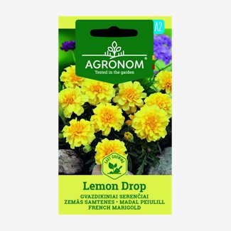 Tagetes, Lemon Drop