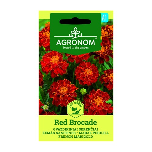 Tagetes, Red Brocade