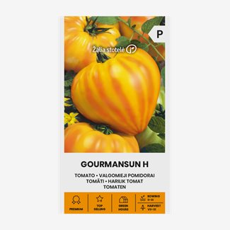 Tomat, Gourmansun F1
