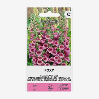 Fingerborgsblomma, Foxy