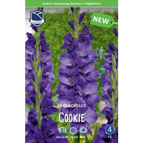 Gladiol, Cookie