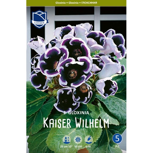 Gloxinia, Kaiser Wilhelm