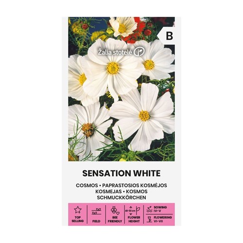 Rosenskära, Sensation White