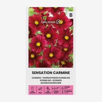 Rosenskära, Sensation Carmine