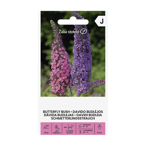 Syrenbuddleja, Fjärilsbuske