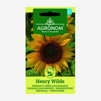 Solros, Henry Wilde