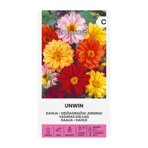 Dahlia, Unwin