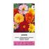 Dahlia, Unwin
