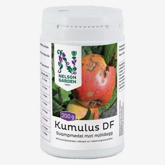 Kumulus