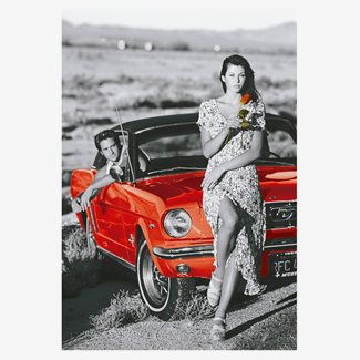 1000 bitar - Country romance