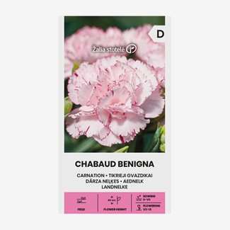 Nejlika, Trädgårdsnejlika, Chabaud Benigna