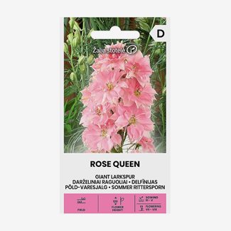 Riddarsporre, Rose Queen