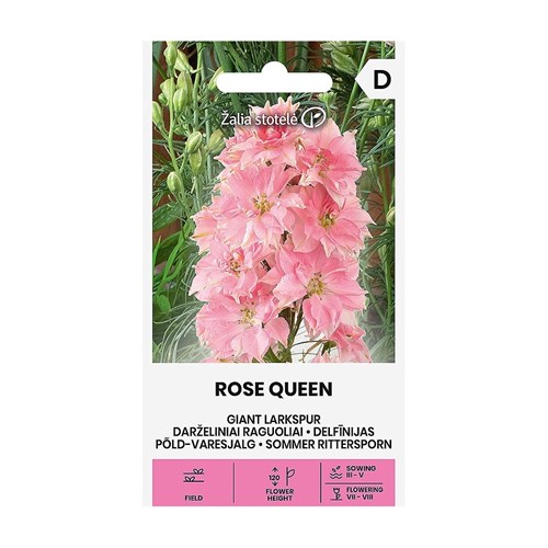 Riddarsporre, Rose Queen
