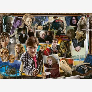 1000 bitar - Harry Potter vs Voldemort