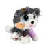 Rescue Runts Husky