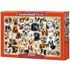 1500 bitar - Collage with dogs